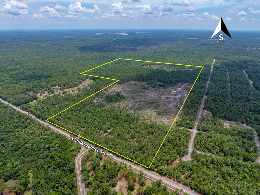 Citrus County 189 Acres