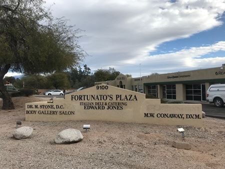Commercial space for Rent at 9100 E. Tanque Verde in Tucson