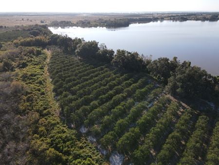 VacantLand space for Sale at Lake Patrick Rd S in Frostproof