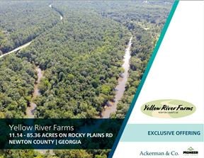 Tract 4 - 14.15 Acres - Yellow River Farms