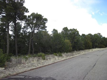 Photo of commercial space at 207 Sedillo Rd in Tijeras