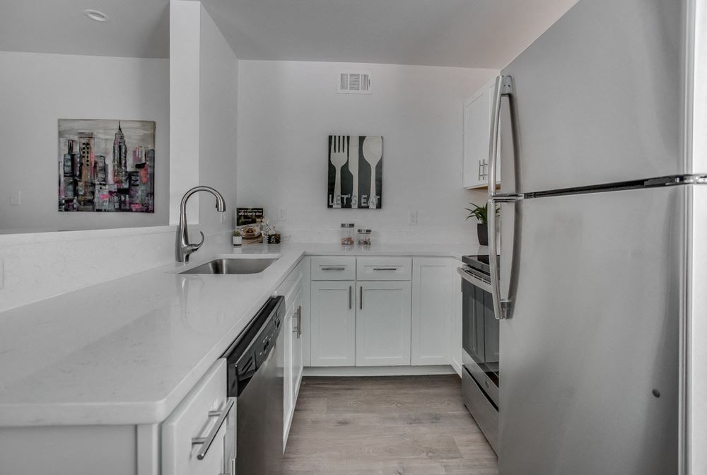 5005 San Jacinto