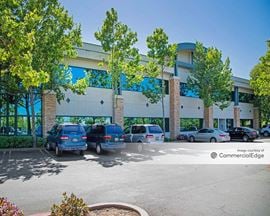Mammoth Professional Building