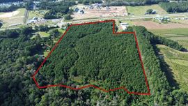 34.45 Acres For Sale Highway 17