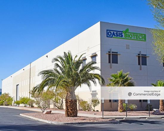 6225 Annie Oakley Drive, Las Vegas, NV | industrial Building