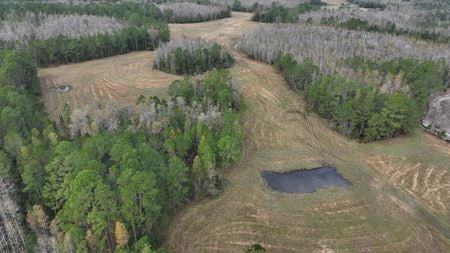 VacantLand space for Sale at  Berry Groves Road in Clermont