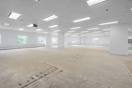 700      Galerie de photos de l'espace 1