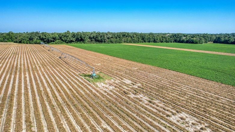 Seminole Irrigated Farm 608