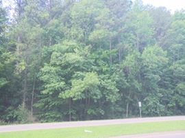 5.62 Acres Opportunity Zone Irondale AL