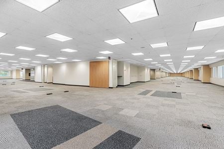 300 Galerie de photos de l'espace 6