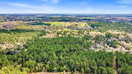 ±80 Acres For Sale | Prime Land Opportunity in New Waverly, TX