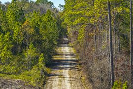 Clay County Timber and Recreation