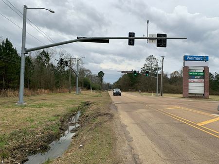 VacantLand space for Sale at 5812 Terry Road in Byram
