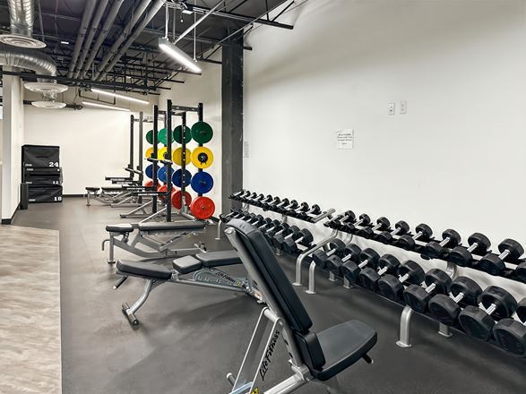 Regus - Denver- W 48th Ave