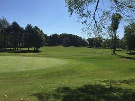200 Acres Pine Hollow Golf Course - Leoni Township
