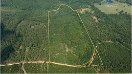 ±34 Acres | Salley, SC