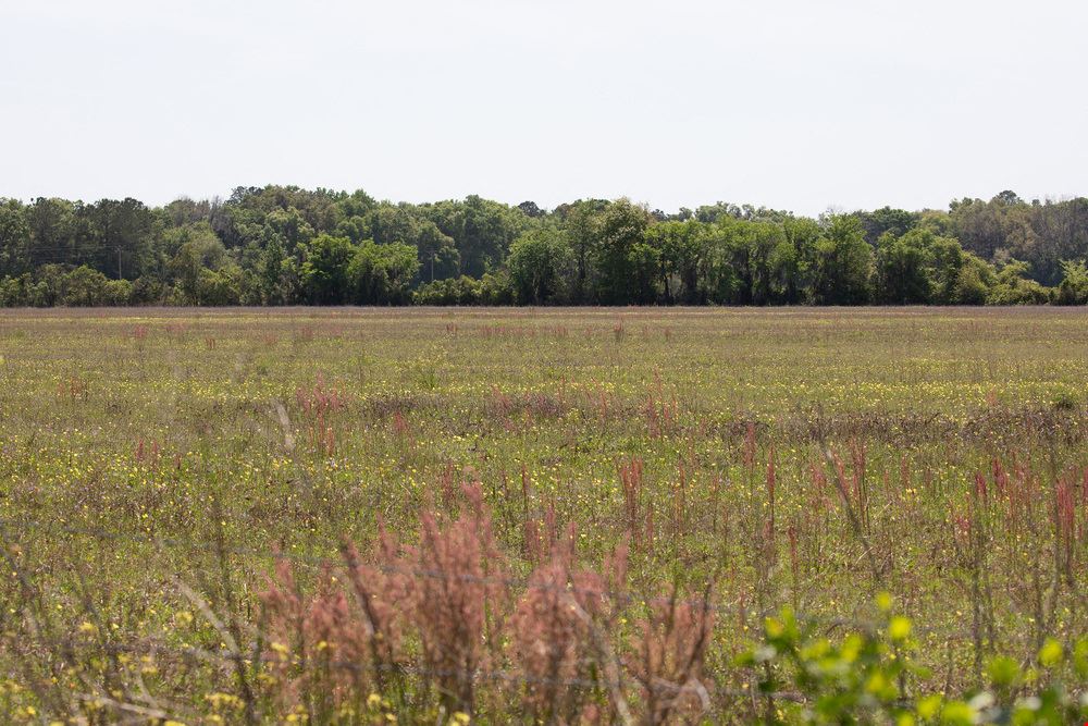 Alachua FarmLife