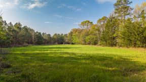Sawyer Lane Hunting and Timber Tract