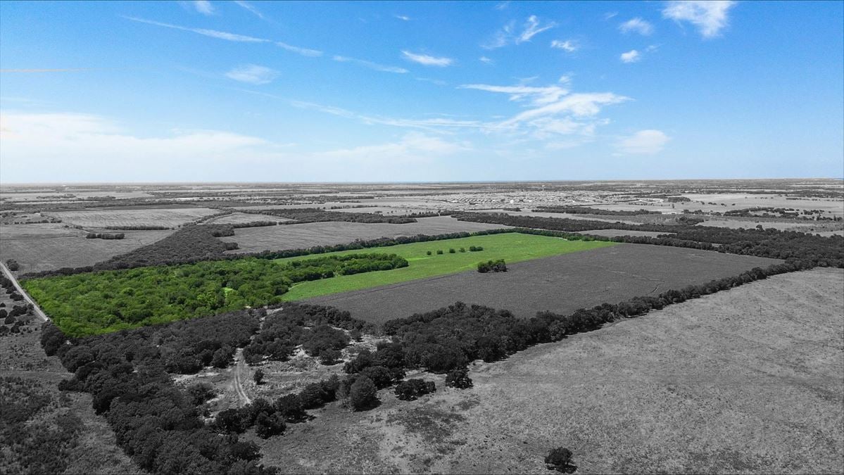 55 Acres for Sale in Royse City, TX