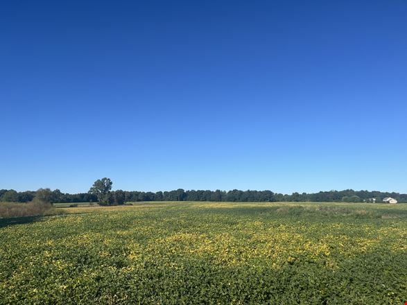79 Acres Conservation Easement Land for Sale in Dexter