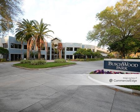Office space for Rent at 3350 Buschwood Park Drive in Tampa