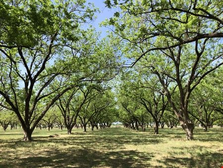 Photo of commercial space at 12633 Gholson Rd in Gholson