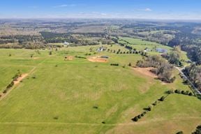 65 Acres with Former Grass Airstrip in Gray Court