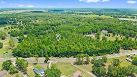 Blanton Road 7.38 Acres