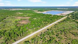 CALUMET FARMS 2,123+- MIXED USE DEVELOPMENT PROPERTY SPACE COAST FLORIDA
