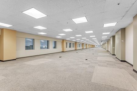 300 Galerie de photos de l'espace 2