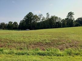 Land in Petal for Sale