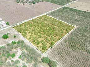 9.65± Acres on Friedlander Rd | Lake Wales- Polk County | Rural Homesite / Ag / Recreation