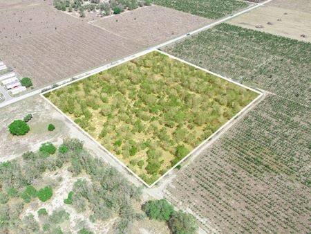 VacantLand space for Sale at Friedlander Road in Lake Wales