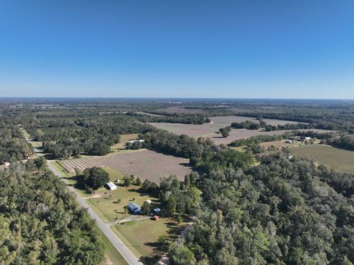 Marianna Farm and Hunting
