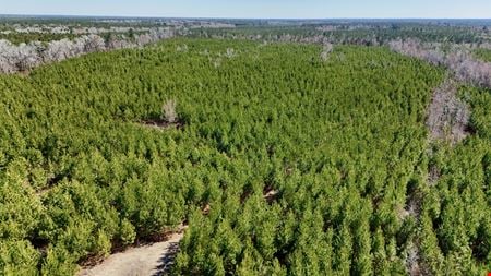VacantLand space for Sale at Sykes Town Road in Currie