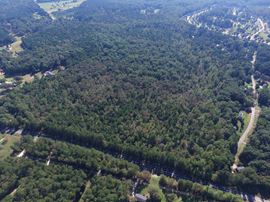 Sterling Manor - 53 Fully Entitled Residential Lots