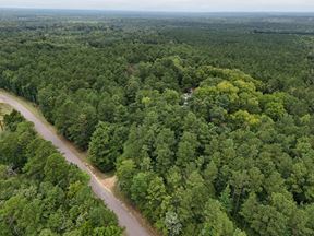 Craig Hill Hunting & Timber Tract