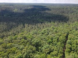 Chattahoochee Meadows - 713.08 Acres