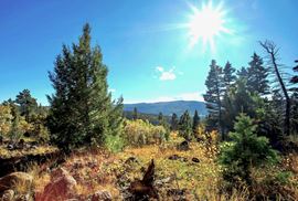 The Ranch at Angel Fire