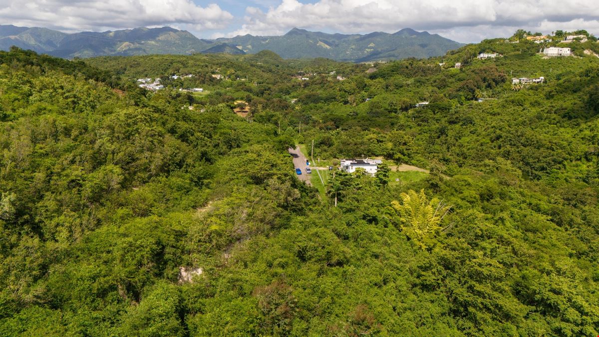 Ponce Agricultural 18.36 Acre Land @ Canas Ward - For Sale