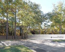 IV Kingwood Place