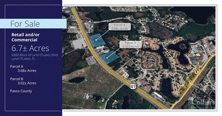 Photo of commercial space at US-41 in Land O' Lakes