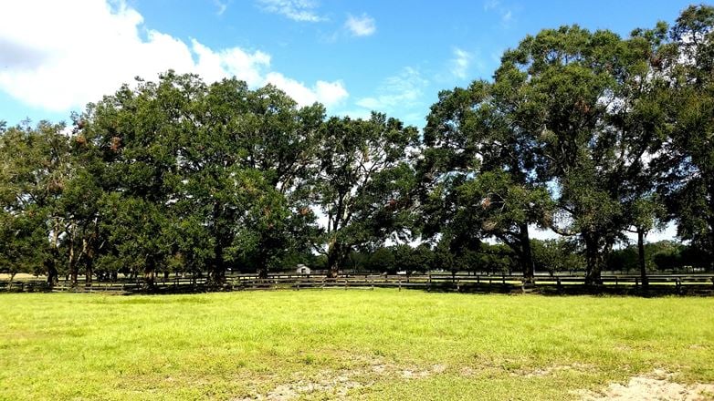 119+/- Commercial Acres
