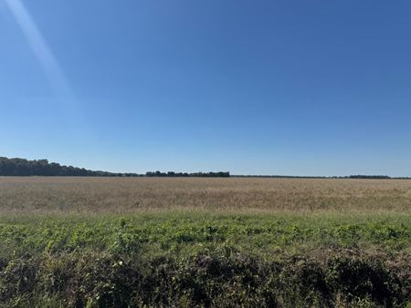 Other space for Sale at Flag Slough Ln in Weiner