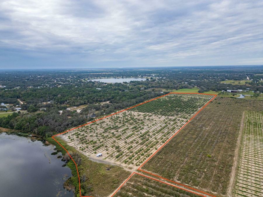 34.3 Acre Grove/ Future Lake front Development  Highlands County FL