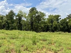 Rufus Johnson Rd