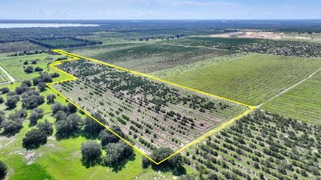 VacantLand space for Sale at Saint Helena Rd in Lake Wales
