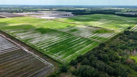 VacantLand space for Sale at Schontag Road in Wauchula