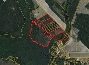 ±76 Acres McNeill Lake Rd