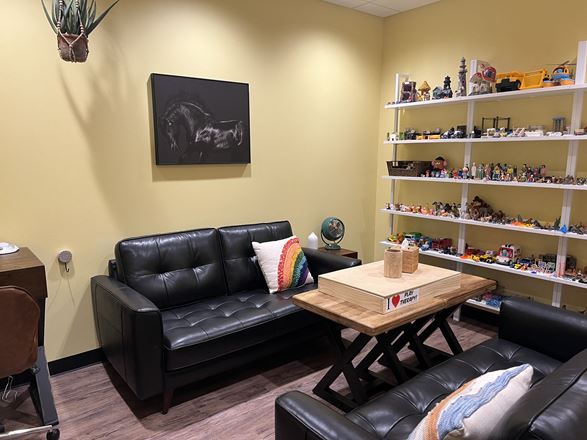 Psych Suites LLC